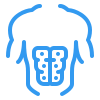 icons8-muscolo-100